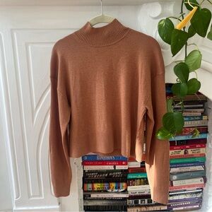 Everlane Luxe Merino Turtleneck in Tawny Brown